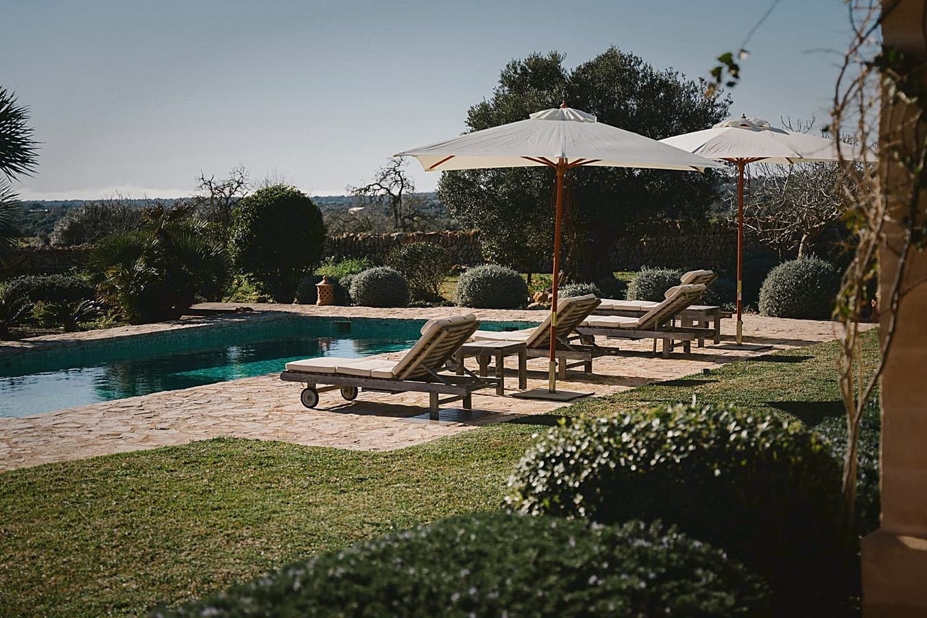 Pool mit Natursteinteich und Garten