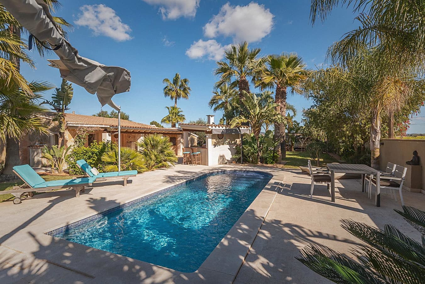 Pool mit Terrasse und Palmen
